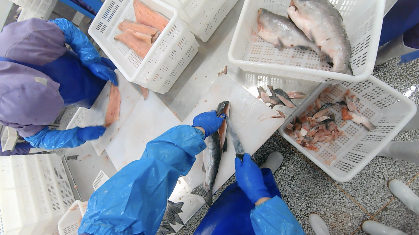 Fresh food processing